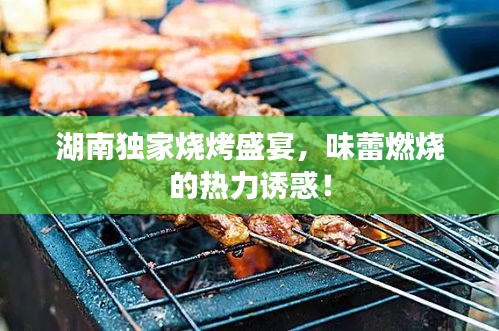 湖南独家烧烤盛宴，味蕾燃烧的热力诱惑！