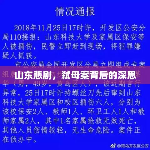 山东悲剧，弑母案背后的深思