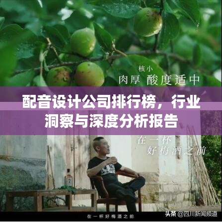 配音设计公司排行榜，行业洞察与深度分析报告