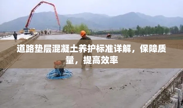 道路垫层混凝土养护标准详解，保障质量，提高效率