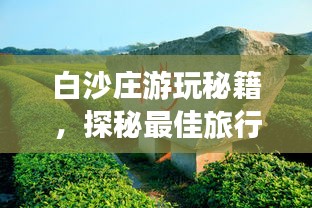 白沙庄游玩秘籍，探秘最佳旅行指南！