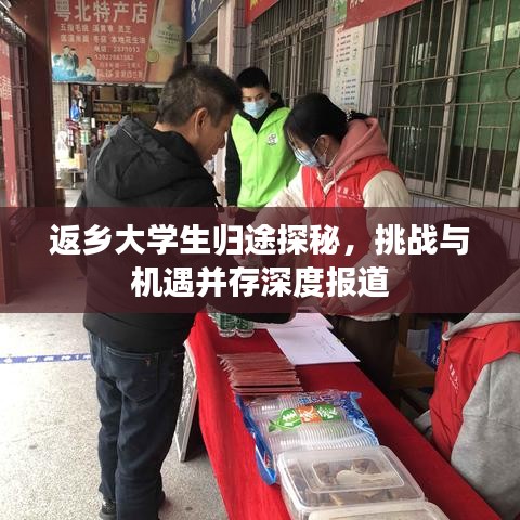 返乡大学生归途探秘，挑战与机遇并存深度报道