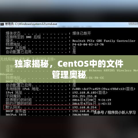 独家揭秘，CentOS中的文件管理奥秘