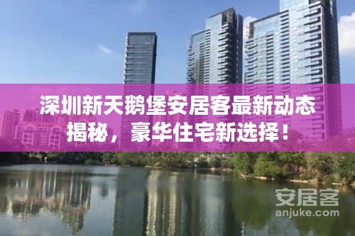 深圳新天鹅堡安居客最新动态揭秘，豪华住宅新选择！