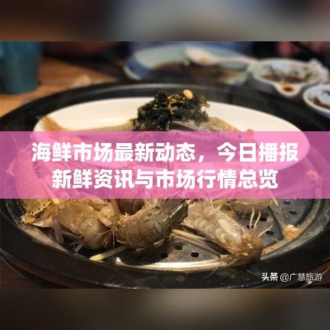 海鲜市场最新动态，今日播报新鲜资讯与市场行情总览
