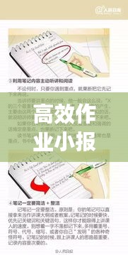 高效作业小报，提升学习效率的秘密武器，助你轻松领跑学习之路！