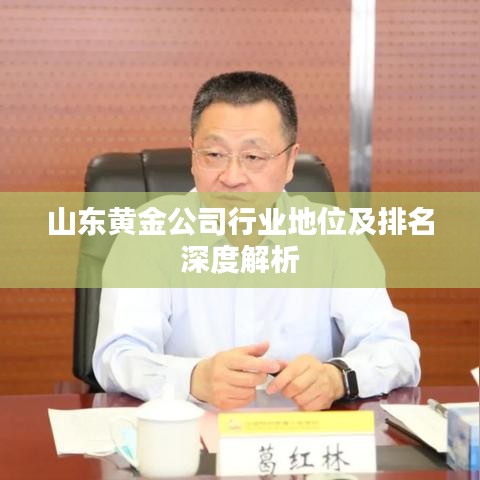 山东黄金公司行业地位及排名深度解析