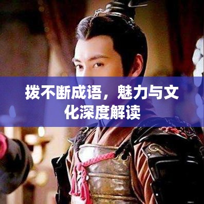 拨不断成语，魅力与文化深度解读