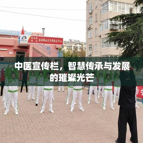 中医宣传栏，智慧传承与发展的璀璨光芒