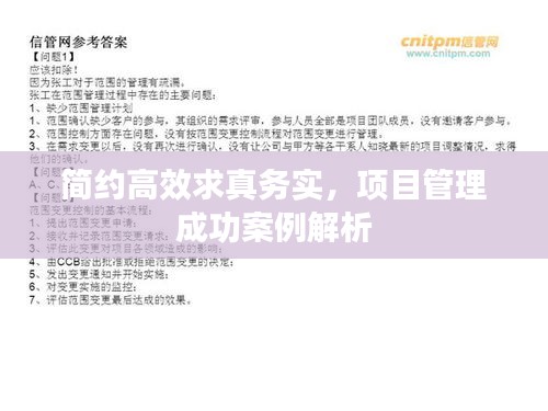 简约高效求真务实，项目管理成功案例解析