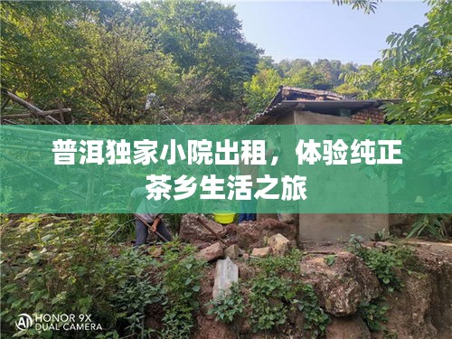 普洱独家小院出租，体验纯正茶乡生活之旅