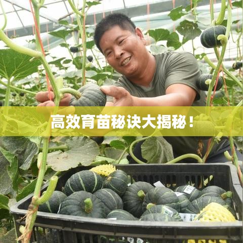 高效育苗秘诀大揭秘！