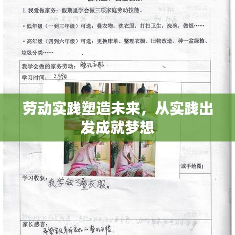 劳动实践塑造未来，从实践出发成就梦想