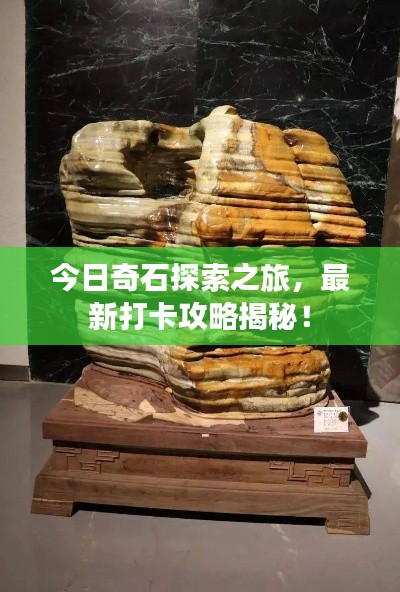 今日奇石探索之旅，最新打卡攻略揭秘！