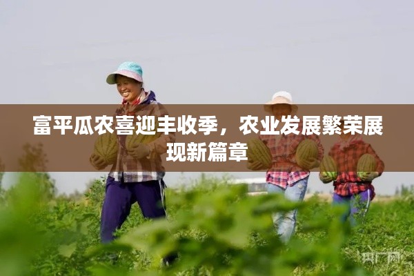 富平瓜农喜迎丰收季，农业发展繁荣展现新篇章