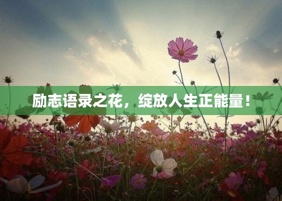 励志语录之花，绽放人生正能量！