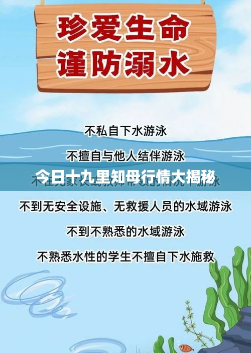 物稀为贵 第2页