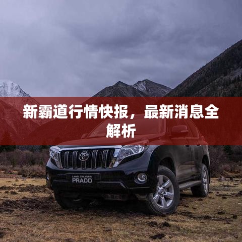 新霸道行情快报，最新消息全解析