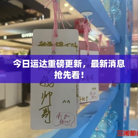 今日运达重磅更新，最新消息抢先看！
