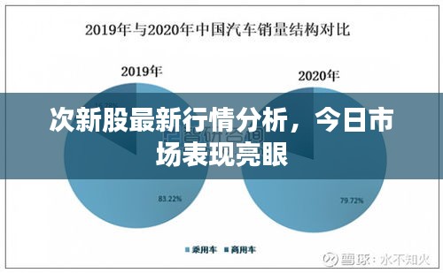 次新股最新行情分析，今日市场表现亮眼