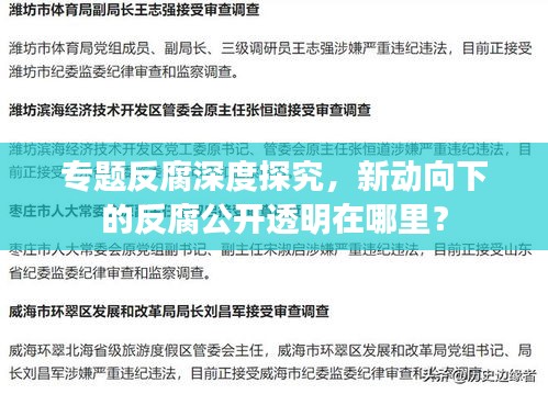 专题反腐深度探究，新动向下的反腐公开透明在哪里？
