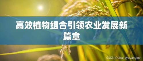 高效植物组合引领农业发展新篇章