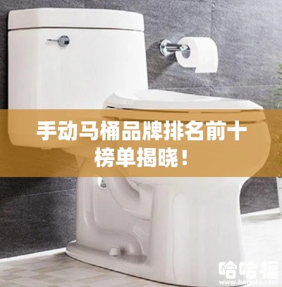 手动马桶品牌排名前十榜单揭晓！