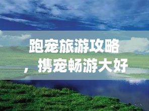 跑宠旅游攻略，携宠畅游大好河山的绝佳指南！