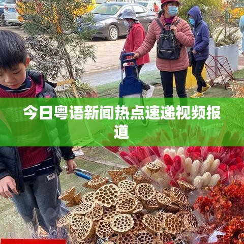今日粤语新闻热点速递视频报道