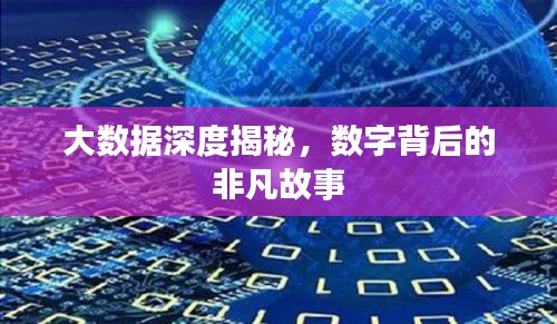 大数据深度揭秘，数字背后的非凡故事