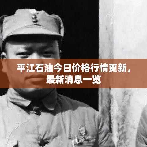 平江石油今日价格行情更新，最新消息一览