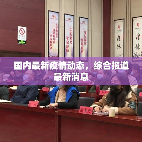 国内最新疫情动态，综合报道最新消息