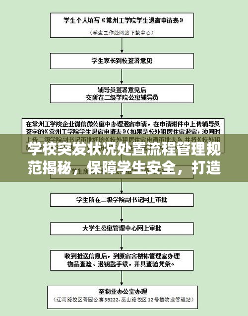 学校突发状况处置流程管理规范揭秘，保障学生安全，打造和谐校园！