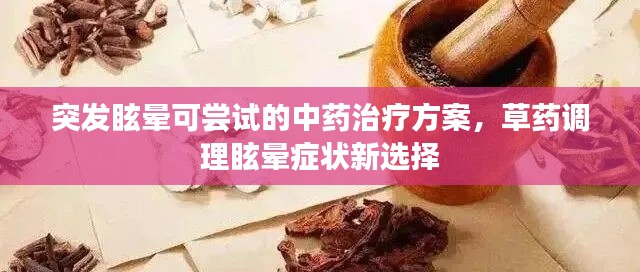突发眩晕可尝试的中药治疗方案，草药调理眩晕症状新选择