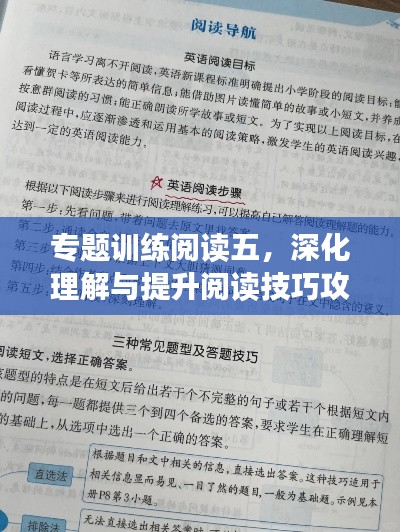 专题训练阅读五，深化理解与提升阅读技巧攻略