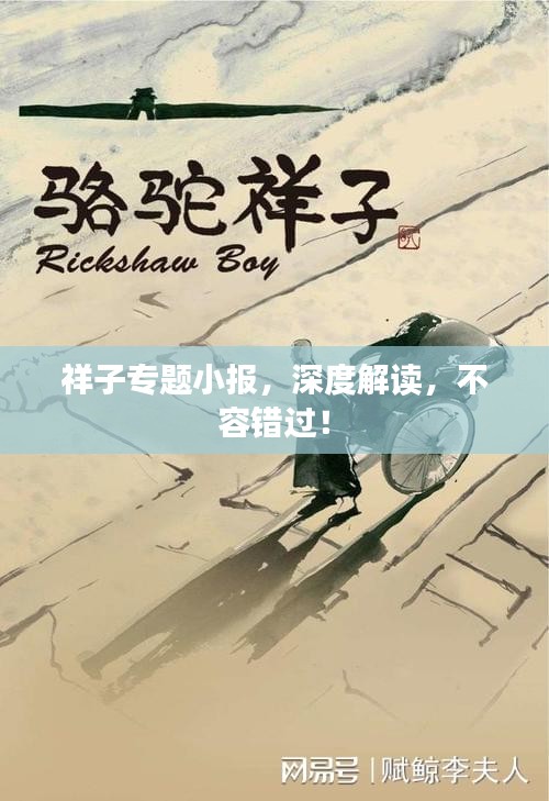 祥子专题小报，深度解读，不容错过！