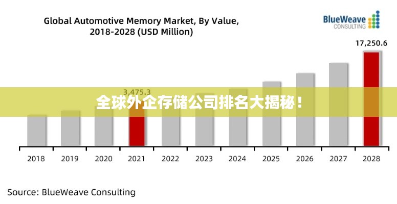全球外企存储公司排名大揭秘！