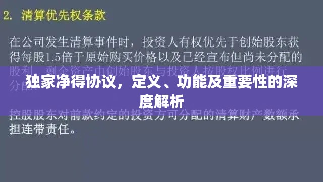 独家净得协议，定义、功能及重要性的深度解析