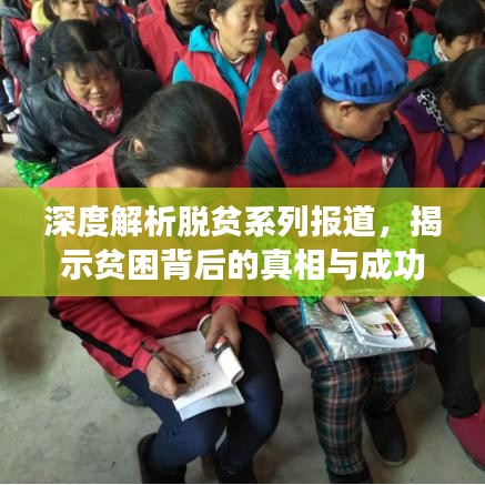 深度解析脱贫系列报道，揭示贫困背后的真相与成功之路