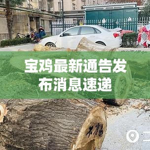 宝鸡最新通告发布消息速递