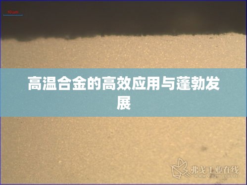 高温合金的高效应用与蓬勃发展