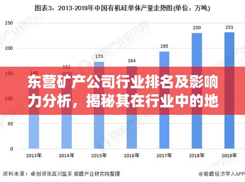 东营矿产公司行业排名及影响力分析，揭秘其在行业中的地位与竞争力
