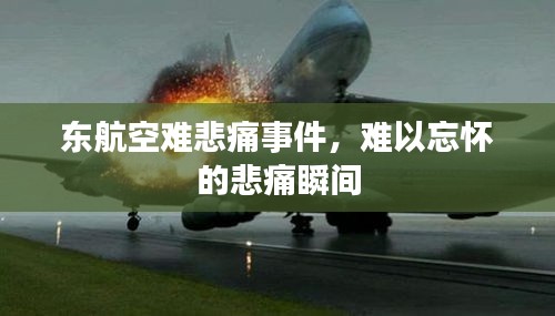 眼张失道 第2页