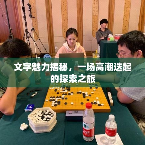 文字魅力揭秘，一场高潮迭起的探索之旅