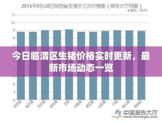 今日临渭区生猪价格实时更新，最新市场动态一览