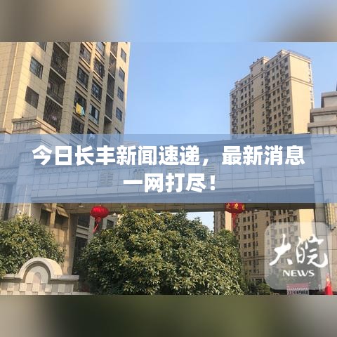 今日长丰新闻速递，最新消息一网打尽！
