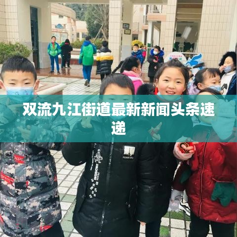 双流九江街道最新新闻头条速递