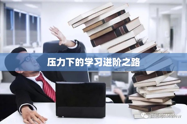 压力下的学习进阶之路
