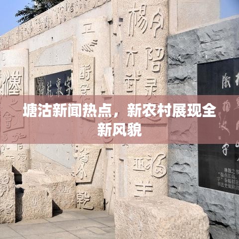 塘沽新闻热点，新农村展现全新风貌