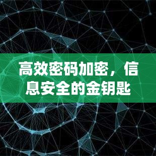 高效密码加密，信息安全的金钥匙